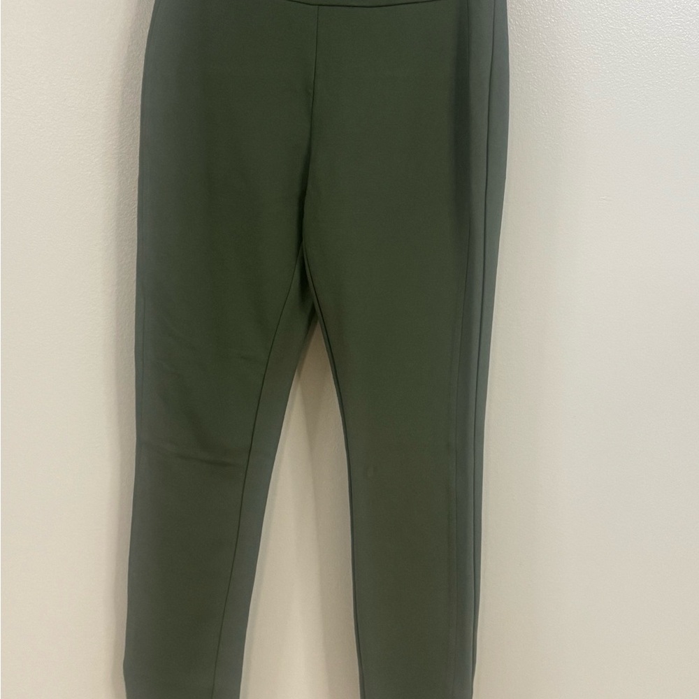 Express Sage Green Ponte Pants